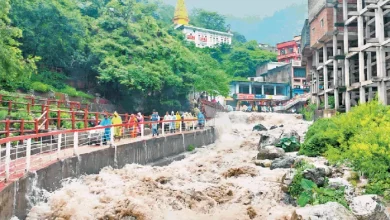 On the Banganga River Tree near Vaishno Devi Dham, the sanctuary changed the travel route; Advice issued for dedicated -Banganga -River in Vaishno Devi travel route has also changed amid bad weather advice issued for dedicated