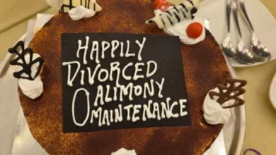 Woman made many allegations for divorce, husband gave without money and lawyer.