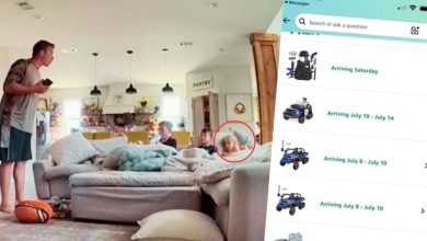A 5-year-old child did 3 lakh shopping on Amazon, the ground slipped under his parents’ feet!