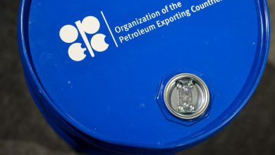 Bloomberg: The superiority of “OPEC+” is increasing with the decline in competitors in the oil market