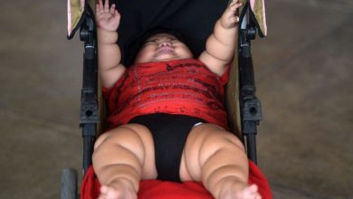 Study: Obesity and Autism is related to canned food