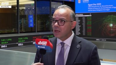 Head of Egyptian financial control: We focus on the development of four sectors