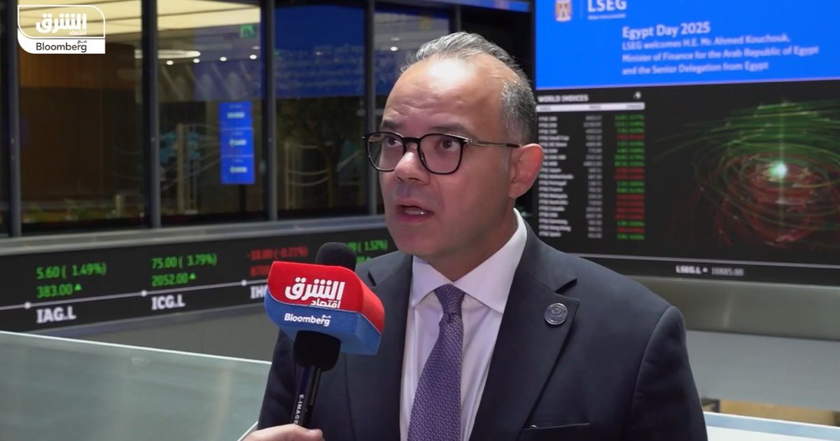 Head of Egyptian financial control: We focus on the development of four sectors