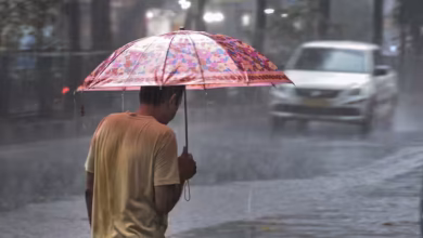Heavy rain warning in ten districts of Bihar, rain is expected in all districts