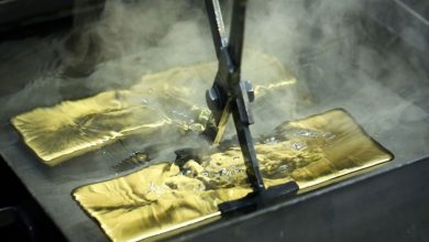 Investors reveal to Al -Sharq their plans to explore gold in Egypt