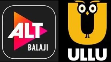 The Government of India imposed ban on 25 OTT platforms: Strictness on pornographic material