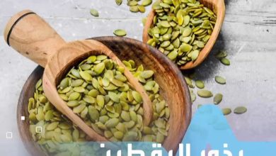 تساعد في النوم وتقلل من مخاطر السرطان.. فوائد غير متوقعة لبذور اليقطين _صحة #صحة