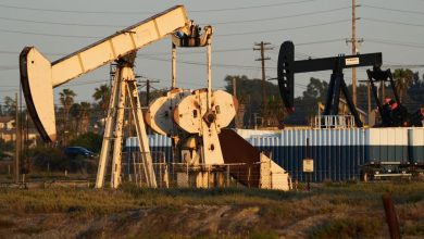 Oil prices are in anticipation of the clarity of the vision of Trump’s fees