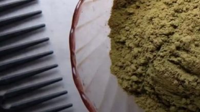 نبات الحناء عرف قديما بفوائده المذهلة للشعر وليس فقط لصبغ الشعر، تعرفوا على هذه الفوائد:…