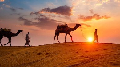 Excitement, culture and camping is all one, which to go to the video before walking the desert, where to stay and when to go?