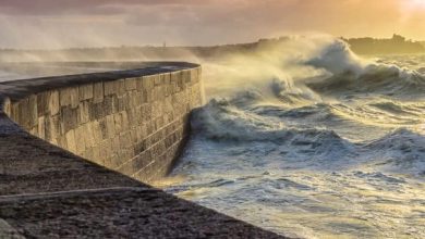 The mission to make this country’s tsunami proof comes in the discussion in the midst of the destruction of Russia, will the concrete wall be able to stop the destruction of nature?
