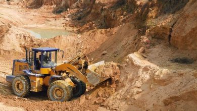 The Arabian Sea calls, and this time for rare earth