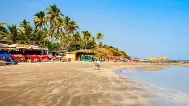 There will be a ban on glass drink bottles near the beaches in Goa, the government will make a big decision as a result – Goa to ban glass of liquor bottles near beaches
