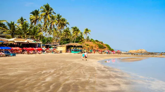 There will be a ban on glass drink bottles near the beaches in Goa, the government will make a big decision as a result – Goa to ban glass of liquor bottles near beaches