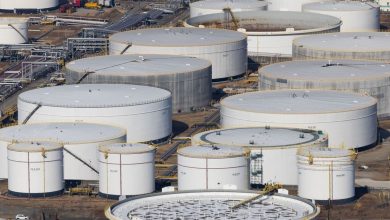 Oil prices are going to achieve the biggest weekly profits since mid -June