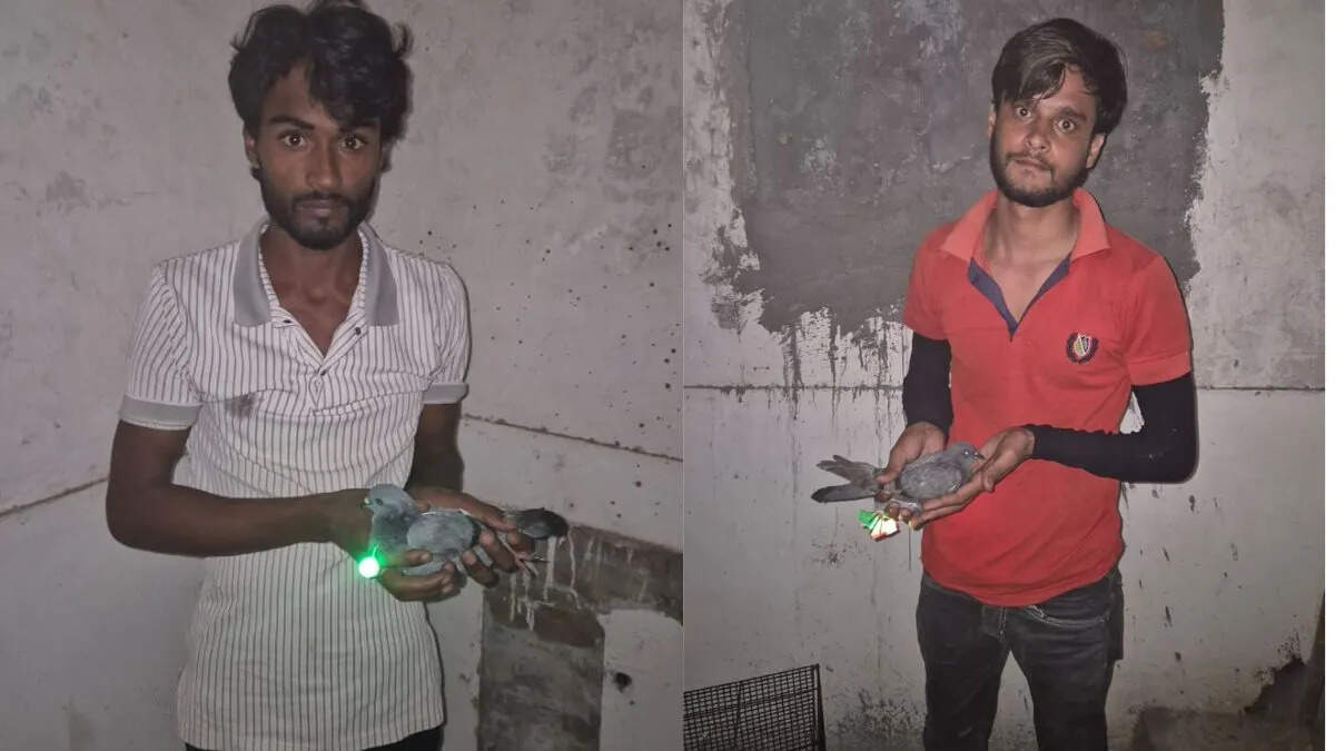 Drone rumors unveiled in Muzaffarnagar are panic spread by blowing redish light pigeons, two arrested