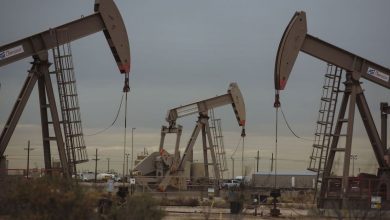 Oil prices stabilize amid the high US supplies and restrictions on the crude of Iran