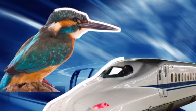 Why does the front of the bullet train look like a bird? Learn science related to speed, noise and air pressure