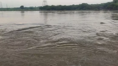 Flood hazard in this district of Haryana, one Lakh water released in the Yamuna River; Officer on Warning Mode – Ncr Sonipat News Yamuna River Water Level Rails and Flood Alert issued