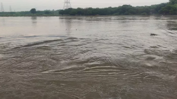 Flood hazard in this district of Haryana, one Lakh water released in the Yamuna River; Officer on Warning Mode – Ncr Sonipat News Yamuna River Water Level Rails and Flood Alert issued