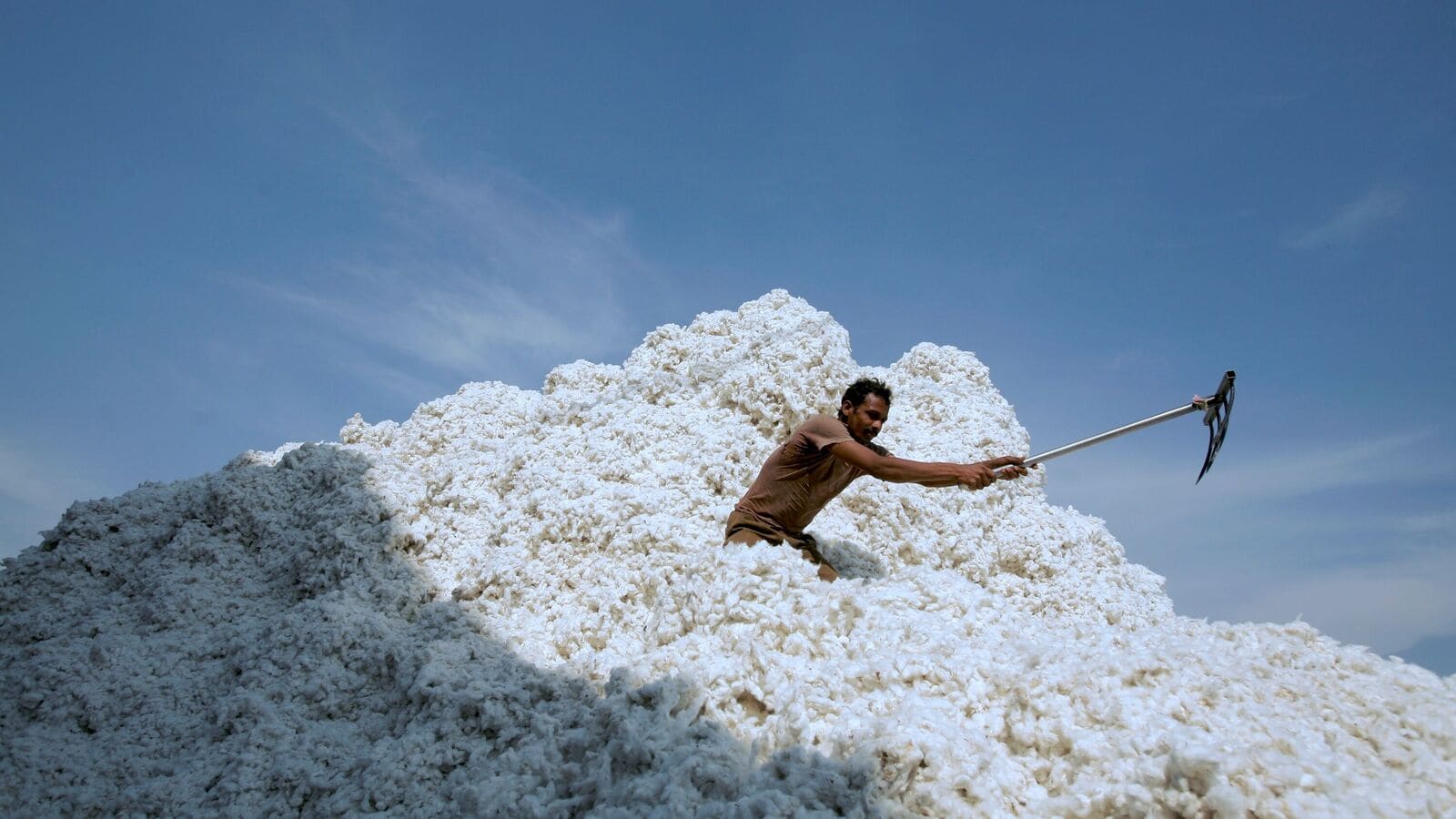 India blink, remove the service on cotton imports in the trade with us