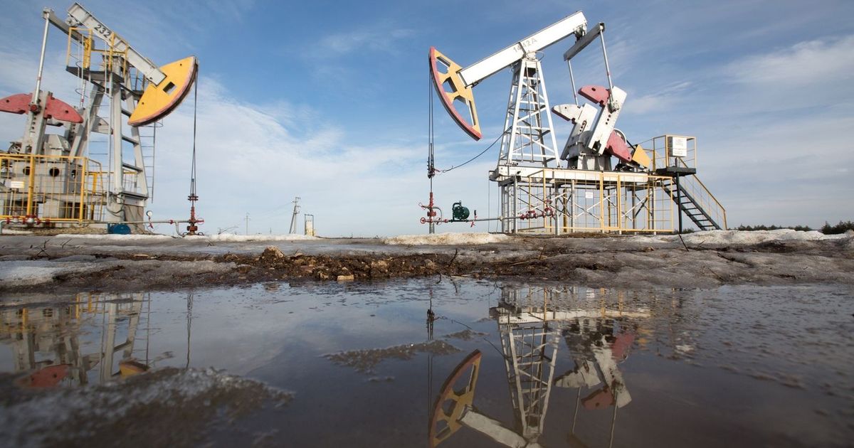 Oil prices are rising with the decline in the hope of ending the Ukraine War quickly