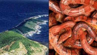 These are the most dangerous and mysterious places in the world where it is forbidden, know what is the secret behind them?