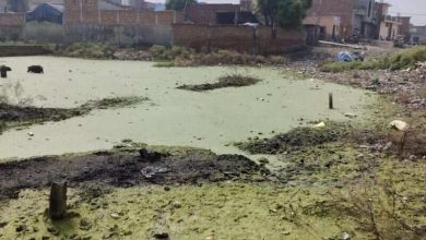 Under the supervision of IOCL, the municipal corporation Panipat will convert barren and weakened land into the green region