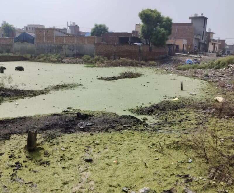 Under the supervision of IOCL, the municipal corporation Panipat will convert barren and weakened land into the green region