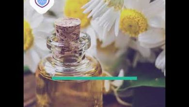 البابونج يحتوي على مركبات الفلافونويد المهدئة، ويساعد في تخفيف القلق واضطرابات النوم، كما يهدئ…