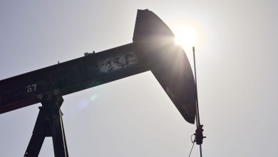 The price of oil drops with Trump’s diplomatic intensification to end the Ukraine War