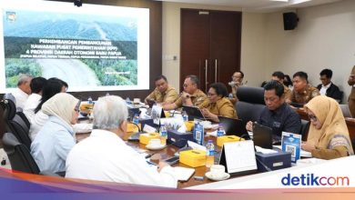 Wamendagri revealed the progress of Dob Papua, to complete 2028,