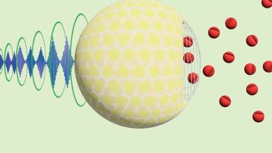 Creating a new system to deliver medication in the body with sugar
