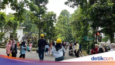Viral women call the extortion of events in the Bogor Botanical Gardens, Tepis driver