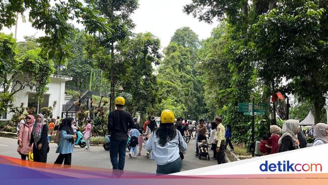 Viral women call the extortion of events in the Bogor Botanical Gardens, Tepis driver