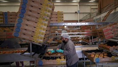 Trump’s 50% tariffs to affect Indian exports worth $ 48 billion, says Center