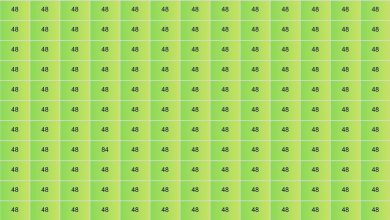 Optical illusion: You need sharp eyes to see 84 below 48s within 10 seconds
