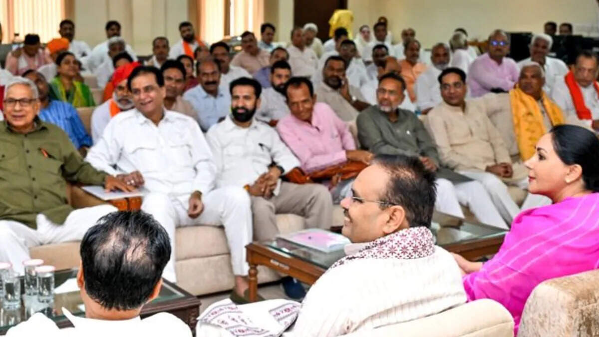 Rajasthan MLAs also know bat, leather in exclusive footage, now there will be so much amount in salary, the government is preparing