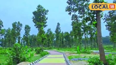 The largest nursery of the state will find work in Giridih, Jharkhand, 500 people this is the whole plan