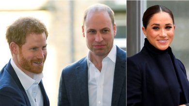 Prince William’s distrust of Meghan Markle prevents peace with Harry, says royal expert