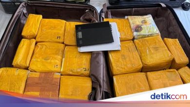 Malaysian WN smuggled 60 kg of methamphetamine to RI, wages of 80 million wages promised