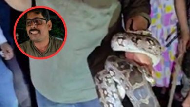Python in the house in the Shukla Colony Ranchi, Sarpamitra did safe rescue
