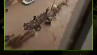 أمطار غزيرة شهدتها مدينة عدن اليمنية، والتي تسببت بفيضانات عنيفة أدت إلى جرف السيارات وغمرها…