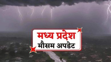 The effect of four weather systems in Madhya Pradesh, there is light rain in many districts
