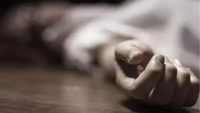 The body of the middle age found in Loharu, dogs are badly hampered; Police investigated – unidentified body investigated near Goshala in Loharu police