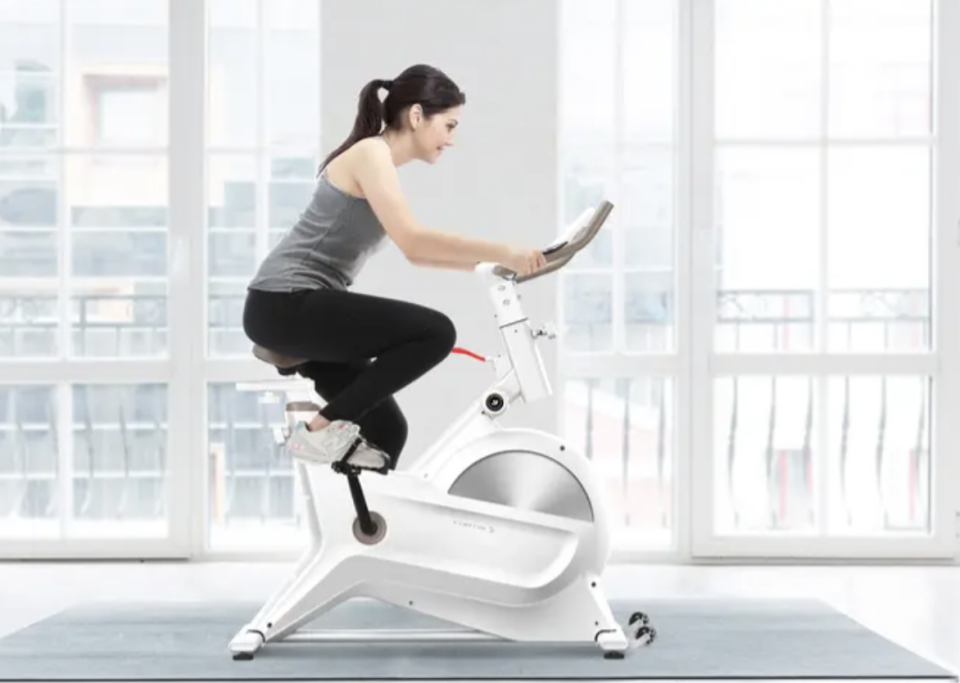 Fortis Magnetic Flywheel Spin Bike, $239